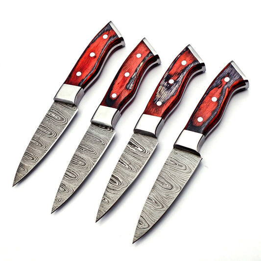 Handmade 4 Piece Steak Knife Set Damascus Steel 256 layers W/ Leather Bag Sharp